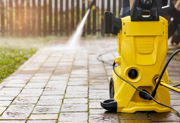 Animal Enclosure Cleaning in Uniondale, NY